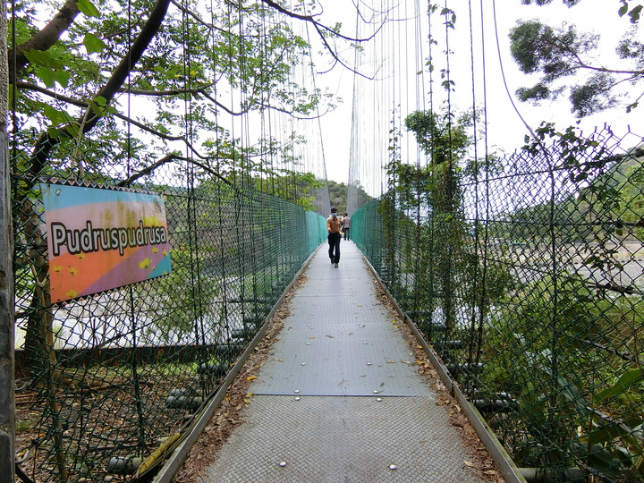 高雄 茂林國家風景區 吊橋探索