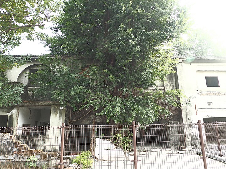 岡山 醒村 |原岡山日本海軍航空隊宿舍群 — 飛行教官們的宿舍,特殊的日治時期2層樓宿舍建築,電視劇《一把青》的取景場景