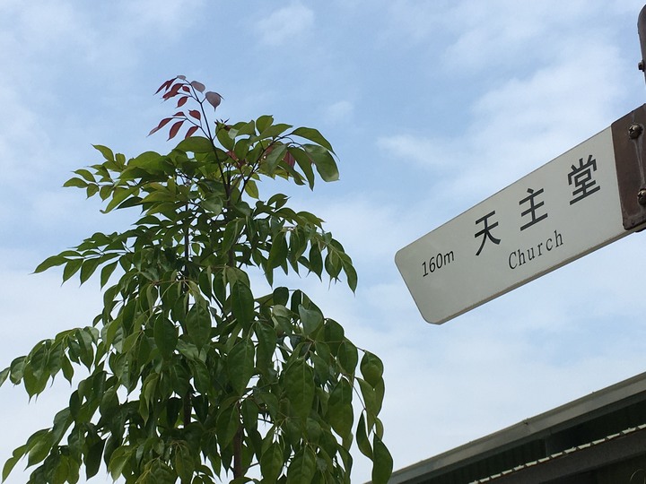 騎 遊 新 營 、 鹽 水 追 蜂 炮