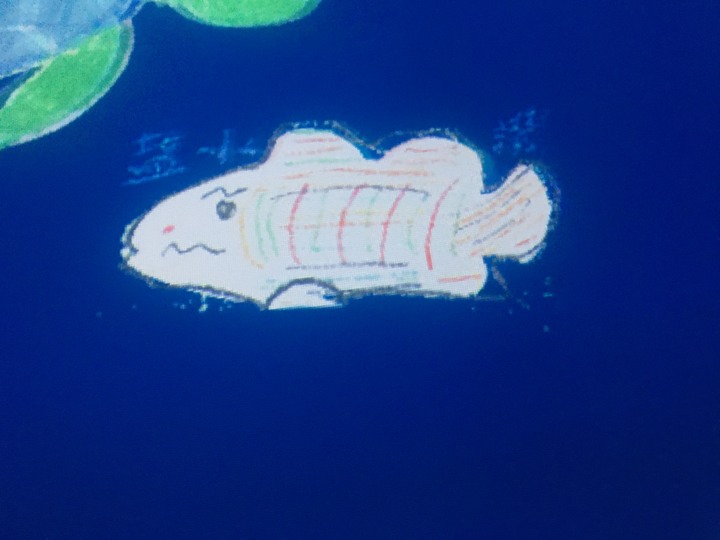 騎 遊 新 營 、 鹽 水 追 蜂 炮