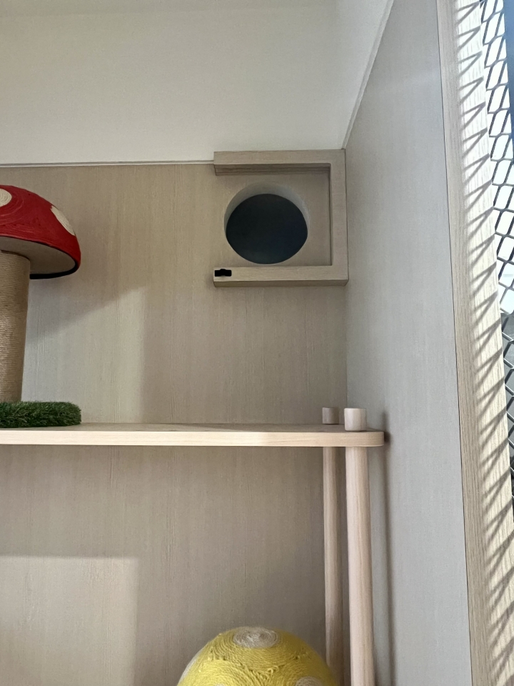 任性貓住宅