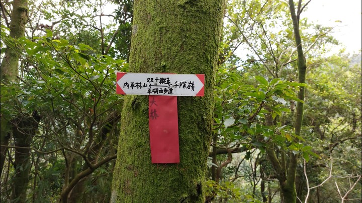 [樂山童盟] [新北平溪] 平湖西步道-內平林山