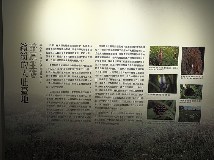 清水 牛罵頭遺址文化園區 — 全臺灣少有的史前遺址,神社、軍營、重要古物保存地等多重身分超時空交流場景,外帶居高臨下的臺灣海峽風光,一次全都看!
