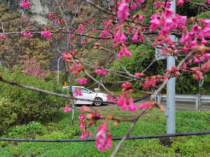 點我看大圖 My 15' Focus TDCi 9W 春節前補班日之偽單身新中橫之旅