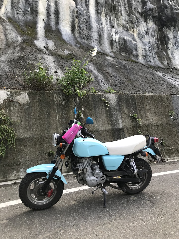 小雲豹之力行產業道環島