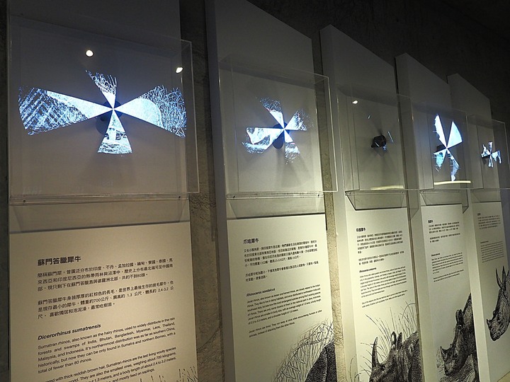 臺南左鎮化石園區 – 全臺首座且唯一之化石教育園區 — 大年初一走春去!