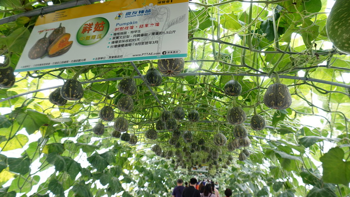 【屏東】2022 屏東熱帶農業博覽會