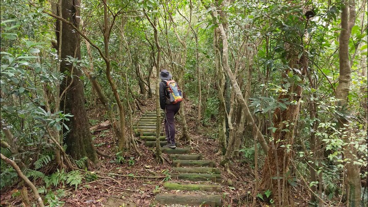[樂山童盟] [新北平溪] 平湖西步道-內平林山