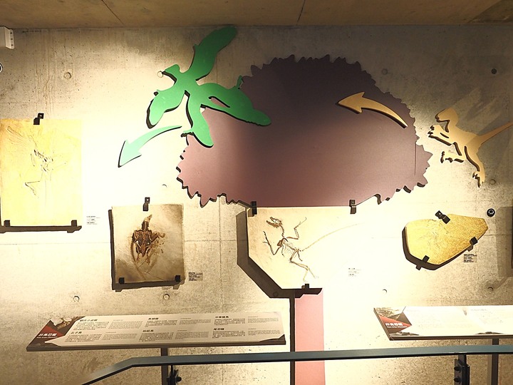 臺南左鎮化石園區 – 全臺首座且唯一之化石教育園區 — 大年初一走春去!