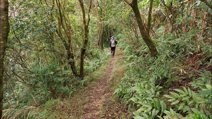 [樂山童盟] [新北平溪] 平湖西步道-內平林山