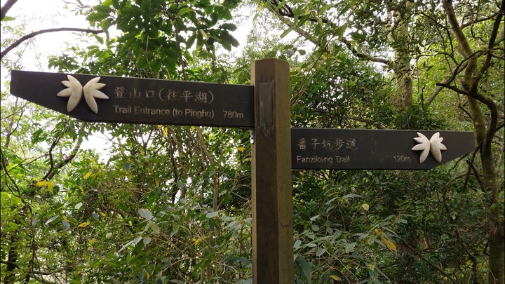 [樂山童盟] [新北平溪] 平湖西步道-內平林山