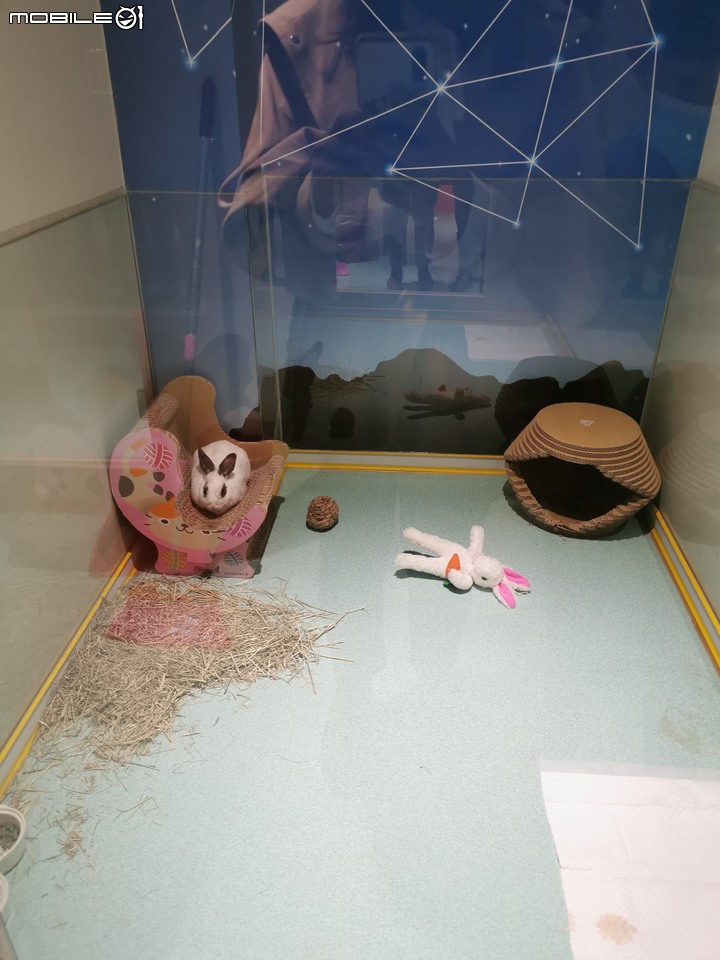 女生也可以去的恐龍主題樂園就在臺中大坑HiONE啵比星球