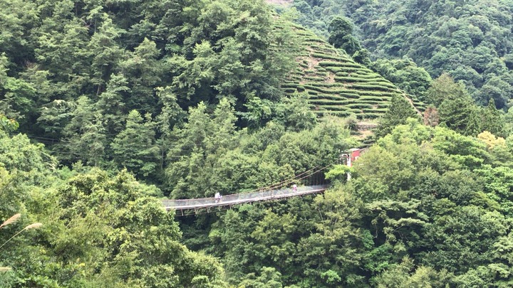 小雲豹之力行產業道環島