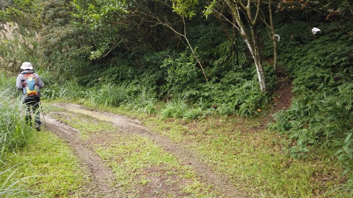 [樂山童盟] [新北平溪] 平湖西步道-內平林山