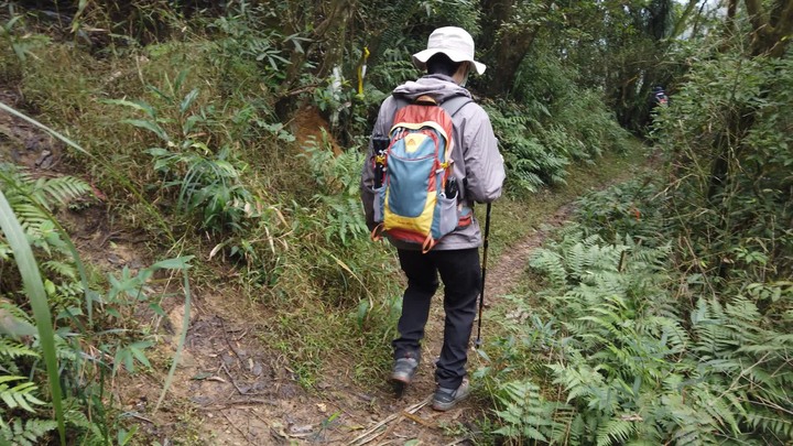 [樂山童盟] [新北平溪] 平湖西步道-內平林山