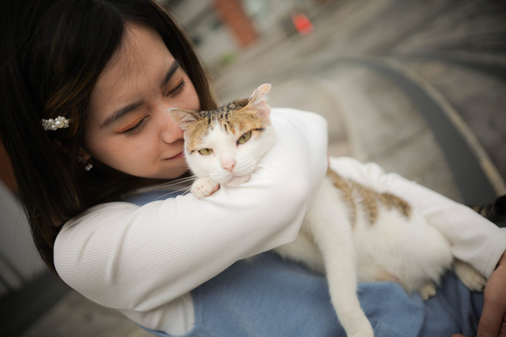 貓貓外拍~  應該沒人的貓能這樣親人吧~ 我指陌生人...