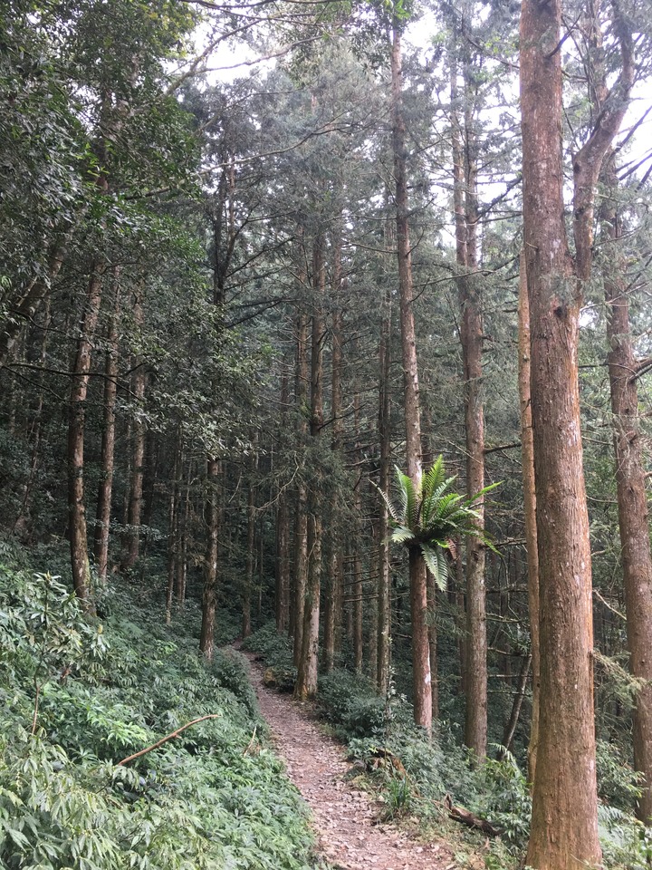 新春第一登-北大武日湯真山