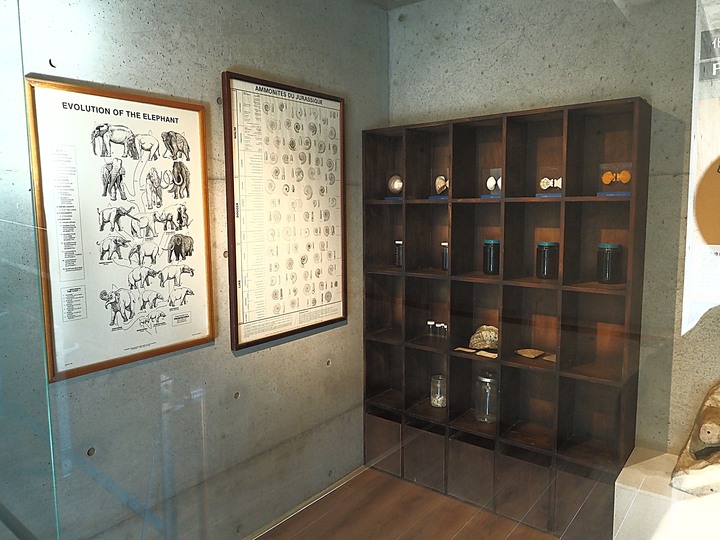 臺南左鎮化石園區 – 全臺首座且唯一之化石教育園區 — 大年初一走春去!
