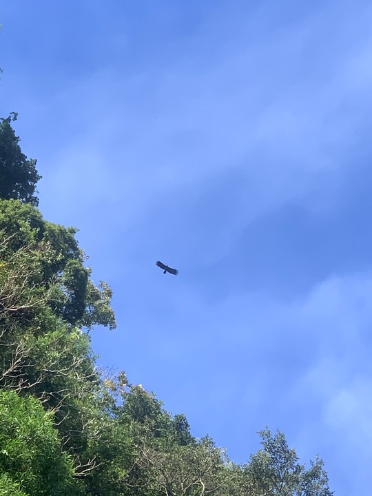春節單人蘇花旅程