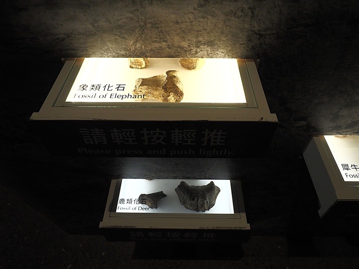 臺南左鎮化石園區 – 全臺首座且唯一之化石教育園區 — 大年初一走春去!