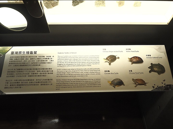 臺南左鎮化石園區 – 全臺首座且唯一之化石教育園區 — 大年初一走春去!