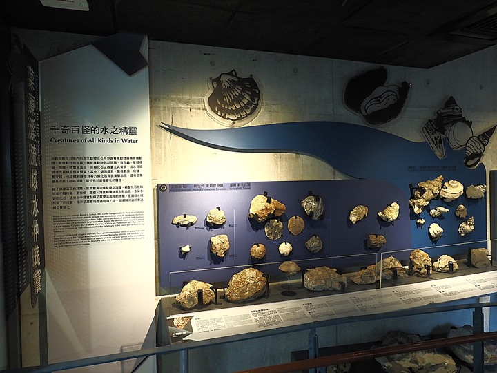 臺南左鎮化石園區 – 全臺首座且唯一之化石教育園區 — 大年初一走春去!