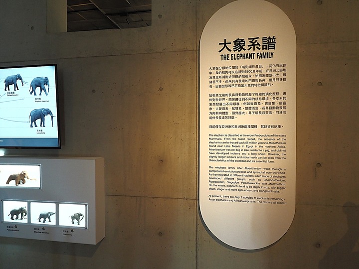臺南左鎮化石園區 – 全臺首座且唯一之化石教育園區 — 大年初一走春去!
