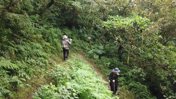 [樂山童盟] [新北平溪] 平湖西步道-內平林山
