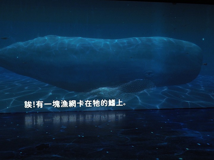 臺南左鎮化石園區 – 全臺首座且唯一之化石教育園區 — 大年初一走春去!
