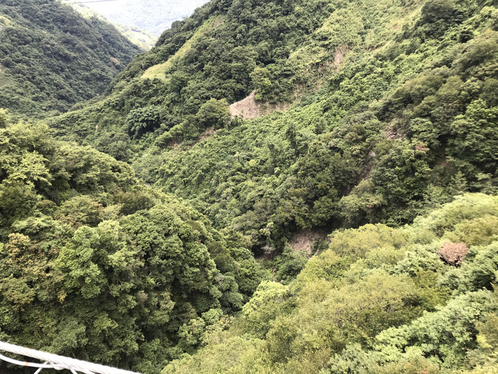 小雲豹之力行產業道環島