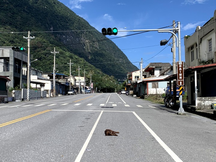 春節單人蘇花旅程