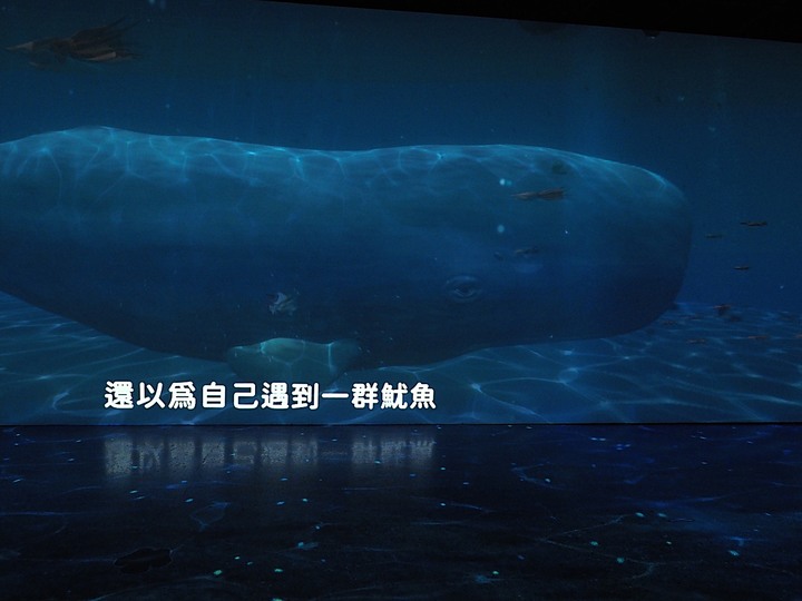 臺南左鎮化石園區 – 全臺首座且唯一之化石教育園區 — 大年初一走春去!