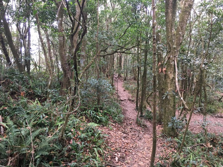 新春第一登-北大武日湯真山