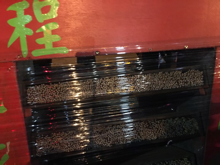 騎 遊 新 營 、 鹽 水 追 蜂 炮