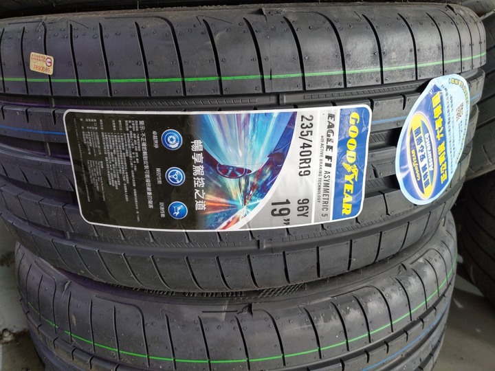 濕地之王 Goodyear F1A5 試胎體驗