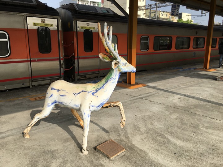 騎 遊 新 營 、 鹽 水 追 蜂 炮