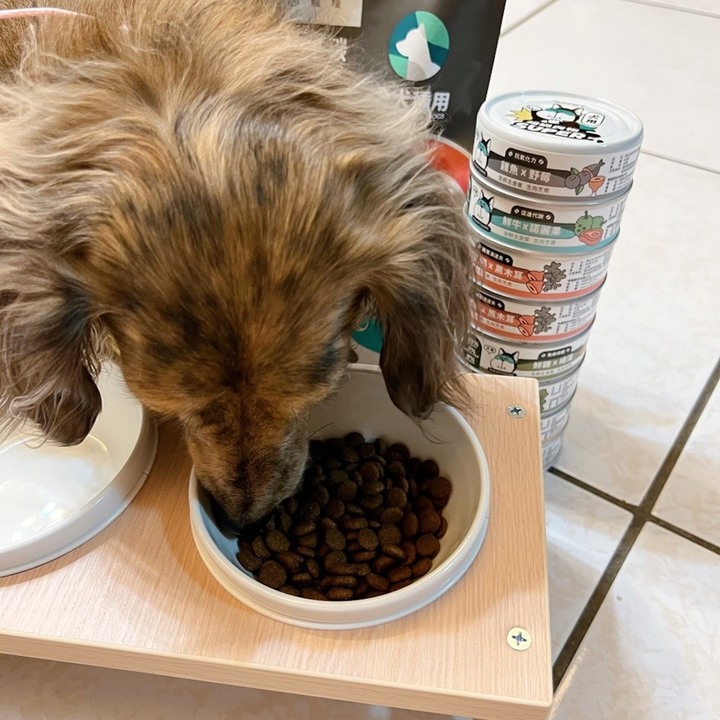 #分享 最近買到覺得不錯的罐頭飼料開箱