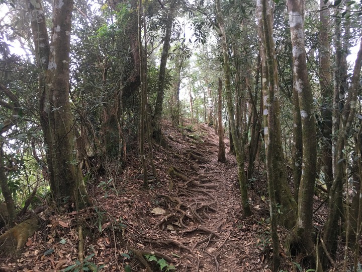 新春第一登-北大武日湯真山