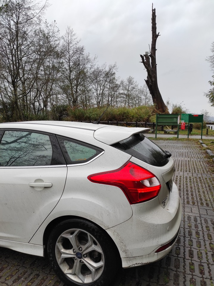 點我看大圖 My 15' Focus TDCi 9W 春節前補班日之偽單身新中橫之旅