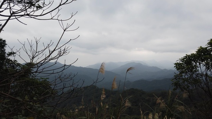 [樂山童盟] [新北平溪] 平湖西步道-內平林山