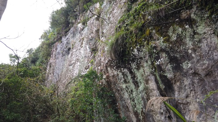 [樂山童盟] [新北平溪] 平湖西步道-內平林山