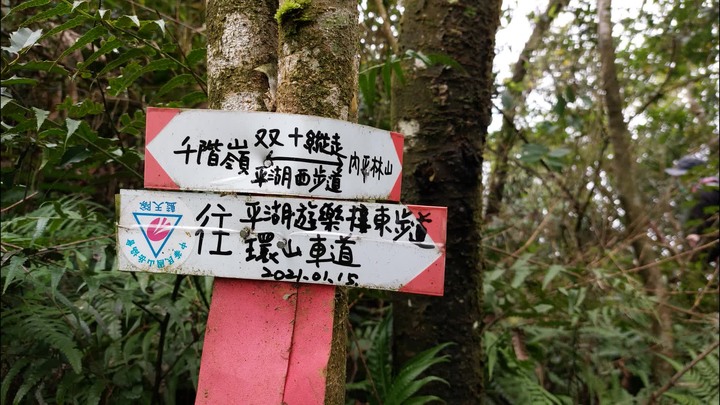 [樂山童盟] [新北平溪] 平湖西步道-內平林山