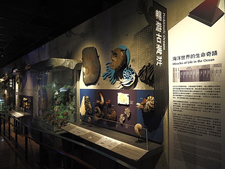 臺南左鎮化石園區 – 全臺首座且唯一之化石教育園區 — 大年初一走春去!