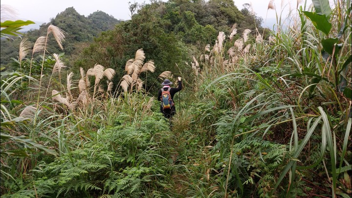 [樂山童盟] [新北平溪] 平湖西步道-內平林山