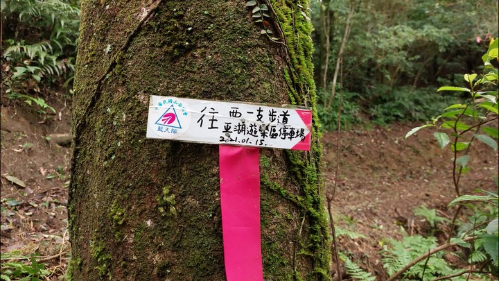 [樂山童盟] [新北平溪] 平湖西步道-內平林山