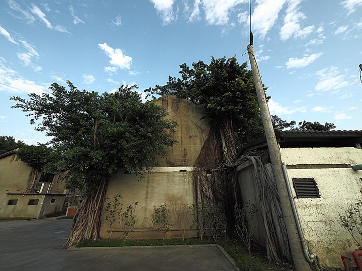 岡山 醒村 |原岡山日本海軍航空隊宿舍群 — 飛行教官們的宿舍,特殊的日治時期2層樓宿舍建築,電視劇《一把青》的取景場景