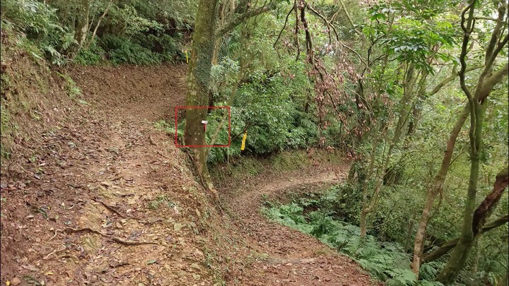 [樂山童盟] [新北平溪] 平湖西步道-內平林山