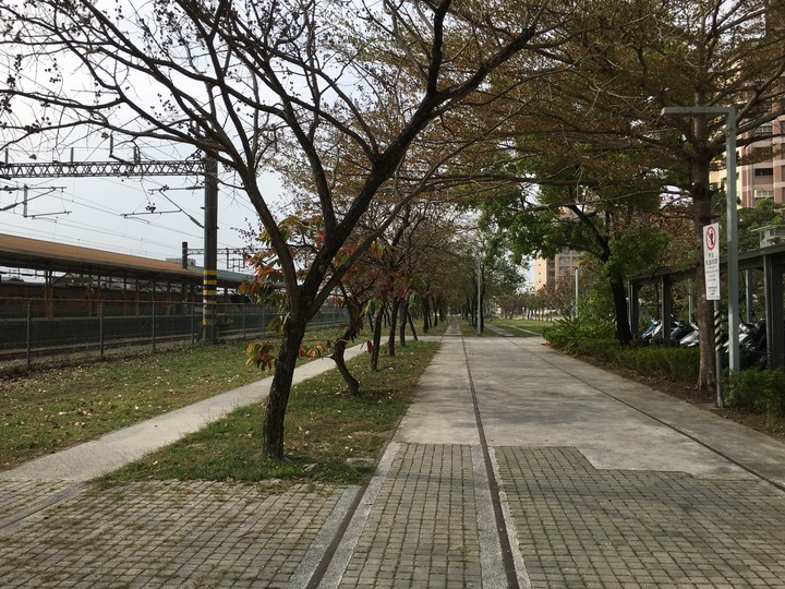 騎 遊 新 營 、 鹽 水 追 蜂 炮