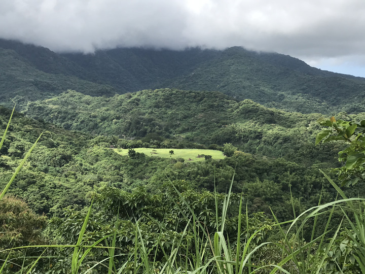 小雲豹之力行產業道環島
