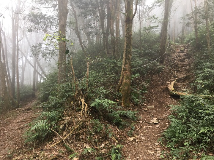 新春第一登-北大武日湯真山